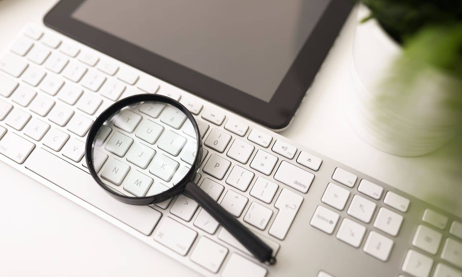 What Do Website Analytics Allow You To Do